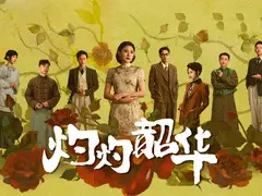 灼灼韶华剧情介绍