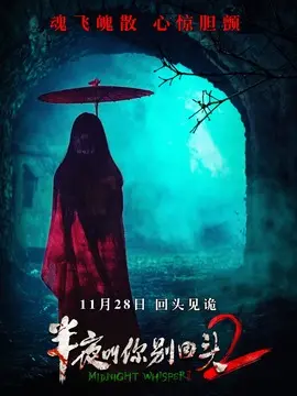 半夜叫你别回头2简介
